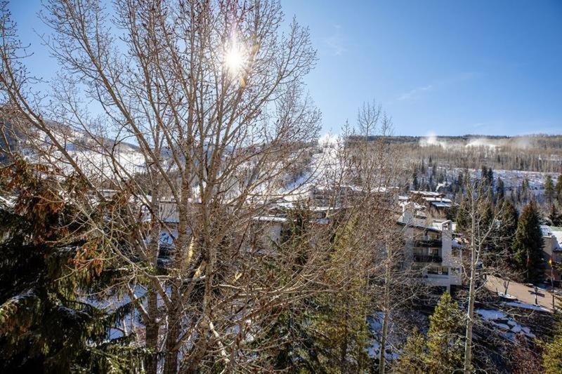 Village Center Condos Vail Oda fotoğraf